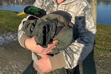 Opeřenec v nesnázích! Strážníci zachránili kačera, který přimrzl na rybníku u Židlochovic